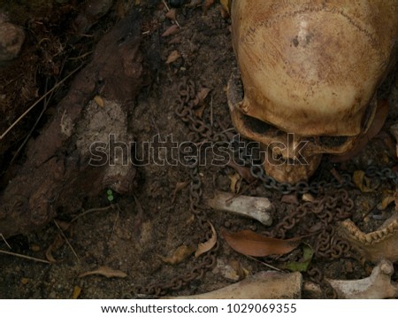 Still life visual art of skulls and skeletons bones found in graves yard