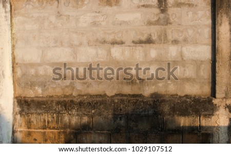 Old cement wall of background texture with a sunny day.