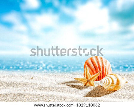 Shell on sand and free space for your decoration. Blue ocean blurred background. 