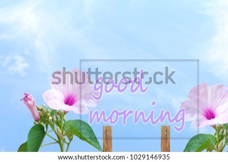 Bush morning glory Ipomoea carnea flower in sky background with good morning sign