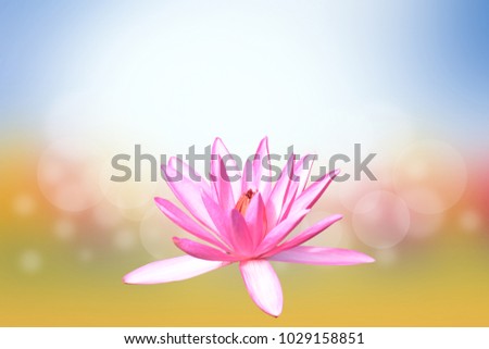 Vesak day, Buddhist lent day, Buddha's birthday worshiping.lotus flower background blur flower and sky light shine.