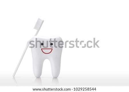 Molar tooth model with white toothbrush on white background.