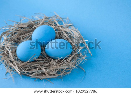 Easter holiday decoration with eggs  over blue background