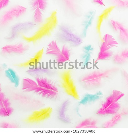 Pattern made of bright feathers on white background. Flat lay. Top view. Creative background.