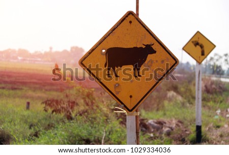 Traffic sign for beware the cow across the street in Thailand and out focus turn left sign beside the road in the morning. 