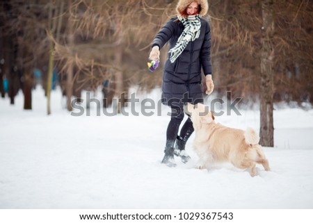 Picture of woman playing with labrador in snowy park