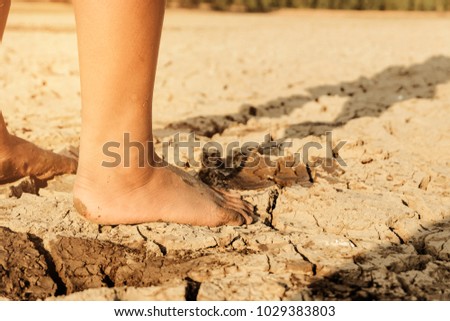 Barefoot on land with dry and cracked ground.  Affected of global warming made climate change. Water shortage and drought concept.