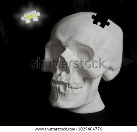 image of a human skull with puzzle elements. Conceptually shows the hard work of the brain, brainstorming
