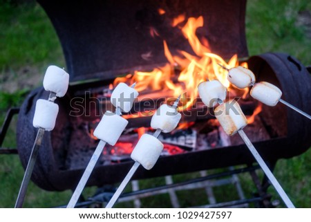 Marshmallow on metal skewer roasted on fire. Food photography