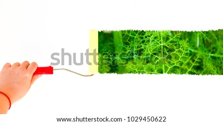 Person painting a green plant on a white wall with a roller brush