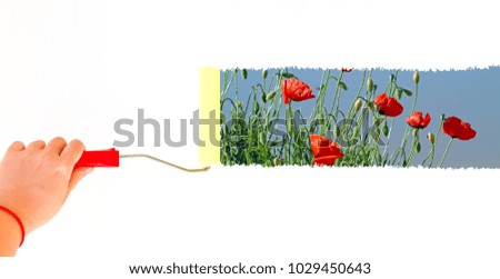 Person painting poppies on a white wall with a roller brush