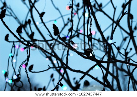 blurry light bulbs of bright colors hang on branches of trees and brightly festively burn, symbolizing light, awareness and an abstract magical picture with a place for your text
