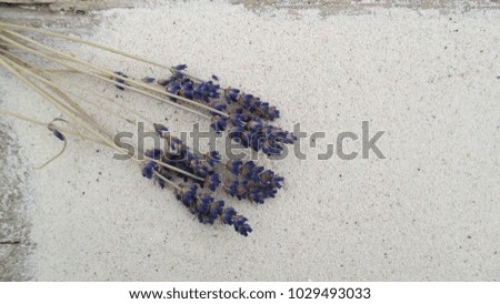 Top view close up flat lay of dry purple lavender flowers creating a frame or a border against a fine white sand background
