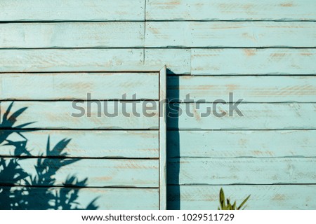 Grungy textured vintage natural surface wood pattern background with peeling paint. Close up photo