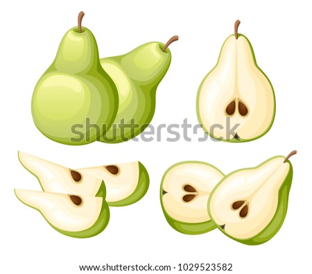 Pear and slices of pears. Vector illustration of pears. Vector illustration for decorative poster, emblem natural product, farmers market. Website page and mobile app design.