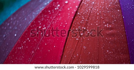 The panorama of close-up  umbrella in rainbow colors in rainy autumn day, blur focus