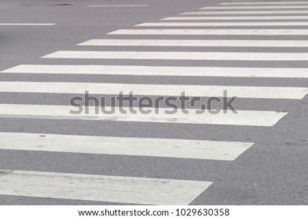 white zebra crossing