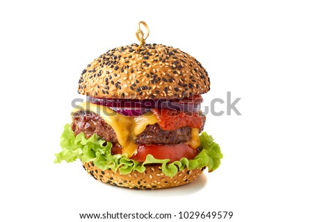 Tasty cheeseburger on white