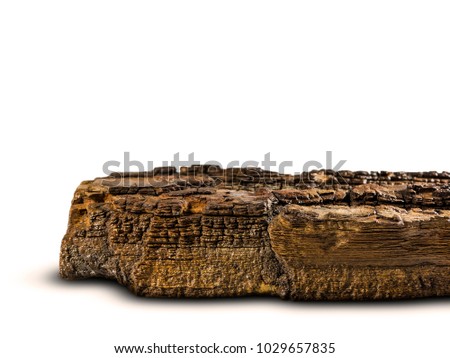 Closeup of a tree bark texture Royalty-Free Stock Photo #1029657835