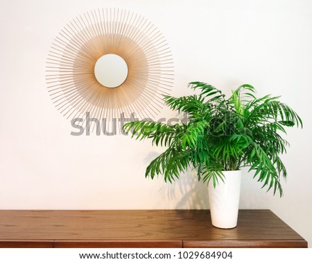 Decorative round mirror and parlor palm plant on a dresser. Modern home decor. Royalty-Free Stock Photo #1029684904