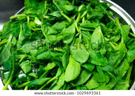 Healthy green vegetable background Royalty-Free Stock Photo #1029693361