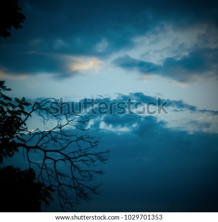 A digitally manipulated photograph of a dead tree's silhouette in front of dark, cloudy sky at dawn.
