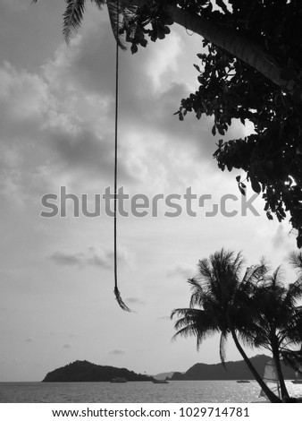 a rope hang on the tree on the island beach at the sea in Thailand with black and white picture