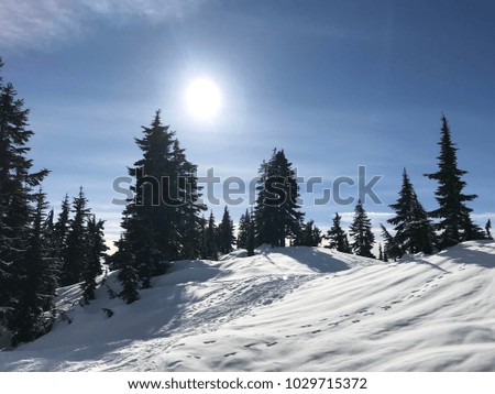 winter background, Cypress Mountain