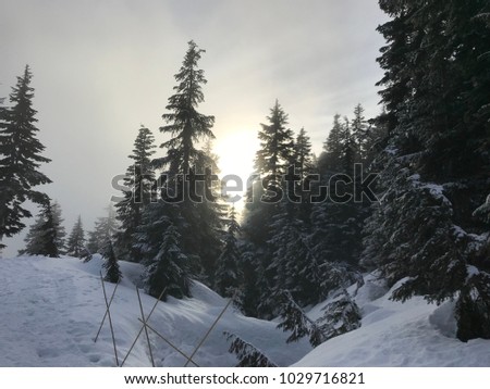 winter landscape Cypress Mountain Canada