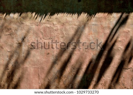 Beautiful old pink stone wall with rich tones, textures and shadows of plants 