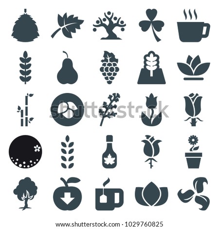 Leaf icons. set of 25 editable filled leaf icons such as leaf, deel, lotus, bamboo, tea, plant, flower, rose, apple download, tree, berry, orange, pear, grape, clover