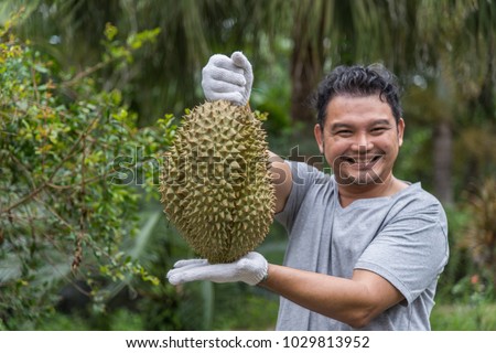 Asian man farmer holding Durian is a king of fruit in Thailand and asia fruit have a spikes shell and sweet can buy at Thai street food and fruit market at agriculture farm Royalty-Free Stock Photo #1029813952