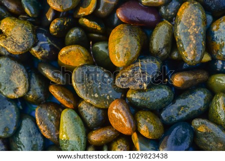 Stone  texture  and background
