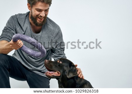  joyful man is played with a labrador on a light background, a dog                              