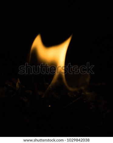 flame of fire torch on black background