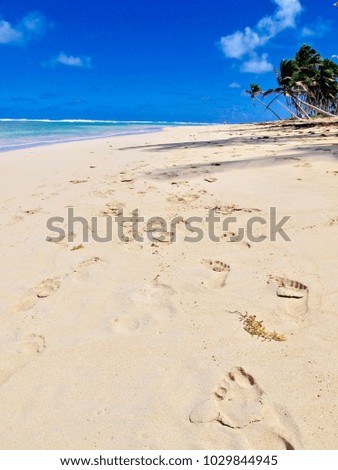  PUNTA CANA, DOMINICAN REPUBLIC: Peaceful honeymoon beaches.                            