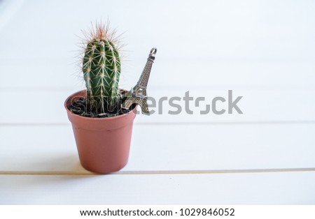 cactus with a figure of the eiffel tower
