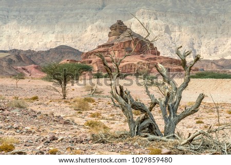 Geological formation in Timna park, Israel. It is located 25 km north of Eilat and combines beautiful scenery with unique geology, variety of sport and family activities