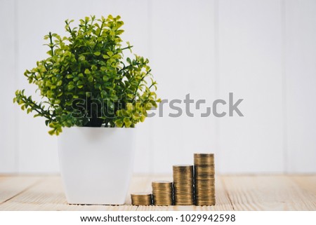 Step of coins stacks and little tree in vase, business planning vision and finance analysis concept idea.