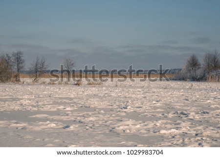Beautiful winter landscape.