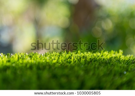 Artificial turf with sunshine Royalty-Free Stock Photo #1030005805
