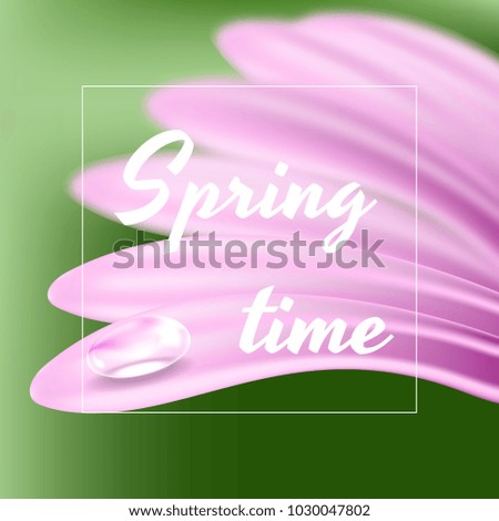 Fresh spring background with a Daisy and a drop of dew.