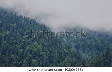 Fantastic foggy day and bright hills by sunlight. Dramatic morning scenery. Carpathian, Ukraine, Europe.