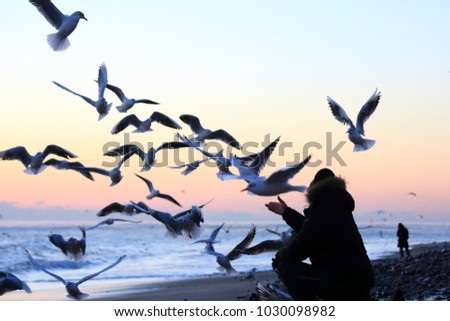 Silhouette : a man taking a picture of flying seagulls with his mobile phone on the beach, in the early morning