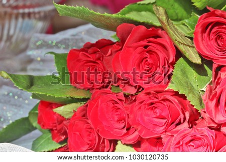 Floral background with red roses. Bunch of bright red roses with green leaves close up. Love concept.