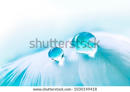 White easy airy soft bird feather with transparent fresh drops of water on  white background macro. Delicate dreamy exquisite artistic image of the purity and fragility of nature, free space. Royalty-Free Stock Photo #1030149418