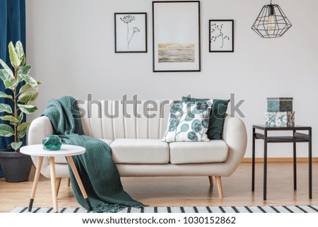 Green blanket on settee near ficus and table in bright living room interior with gallery of posters Royalty-Free Stock Photo #1030152862