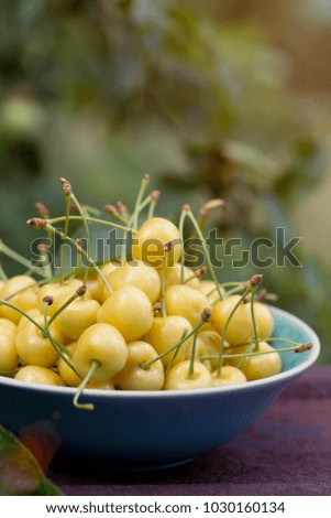 Yellow cherry in a bowl  in the garden at sunset light
