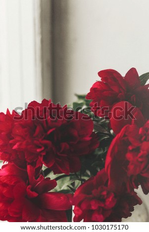beautiful red peonies bouquet on rustic wood background in light. greeting card with space for text. top view. happy womens day or mothers. valentine day. modern rural floral image