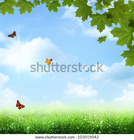 Under the blue skies. spring and summer backgrounds